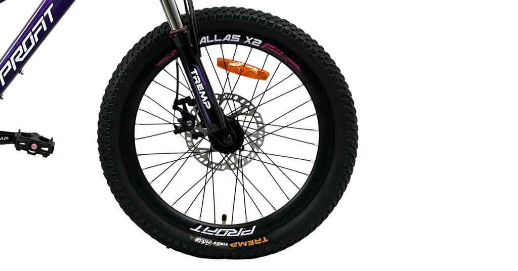 07705084333893 - Imagen 5