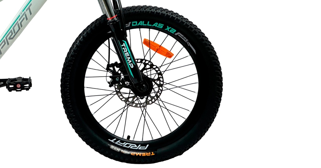 07705084333923 - Imagen 5