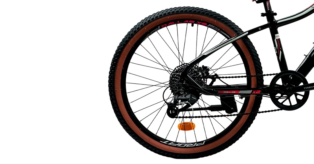 07705084333954 - Imagen 4