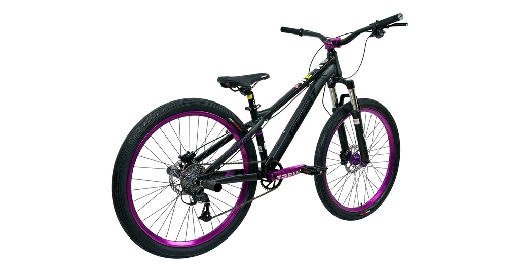 07705084337075 - Imagen 5