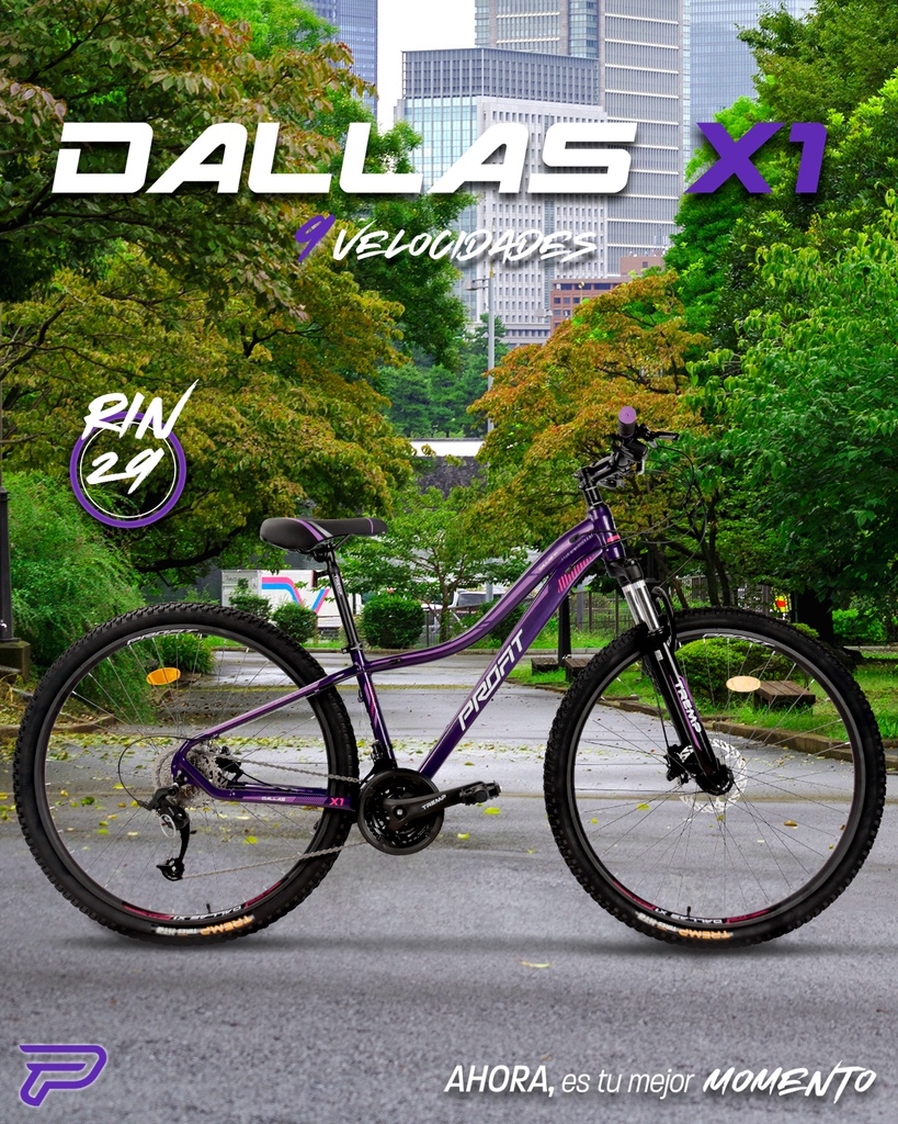 07705084337297 - Imagen 6