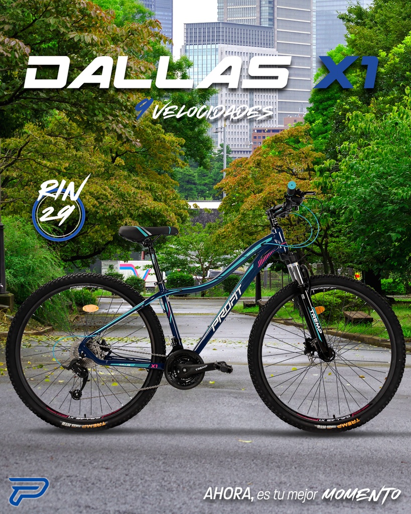 07705084337303 - Imagen 6