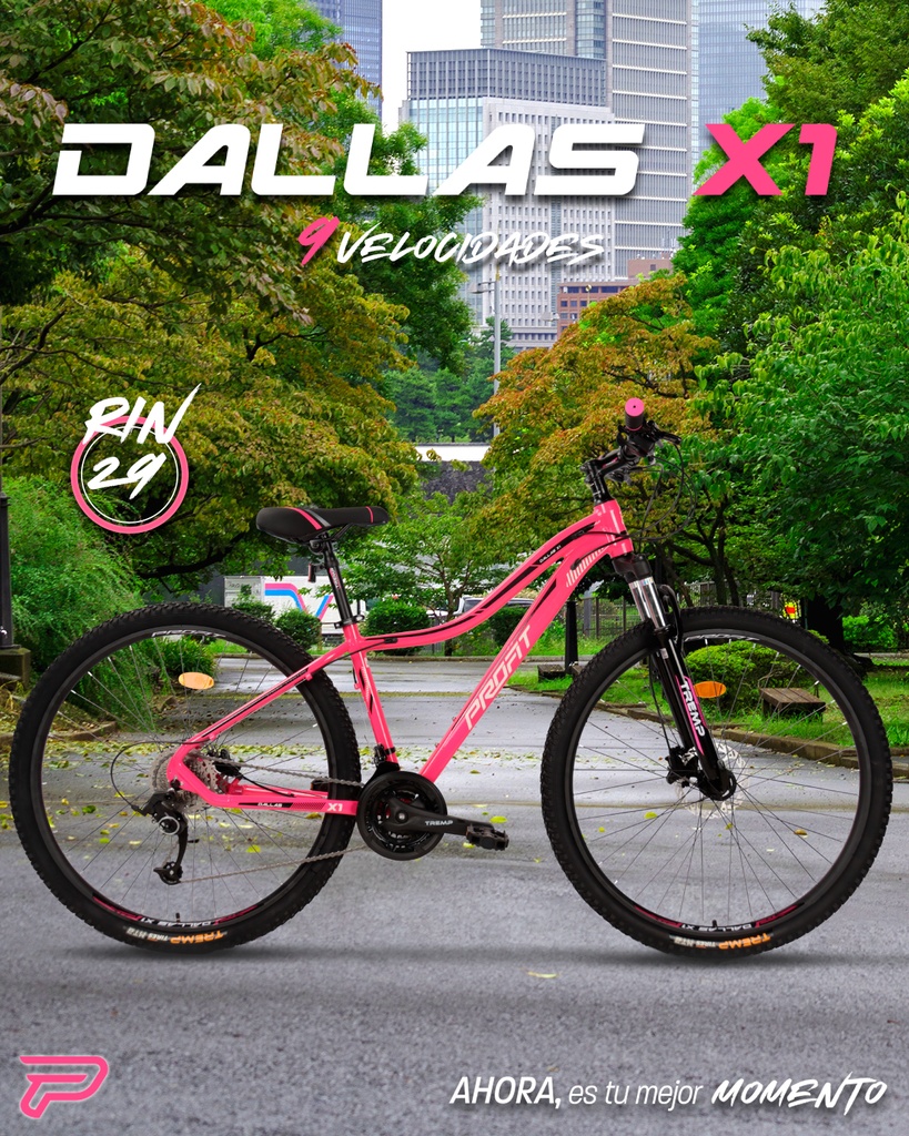 07705084337334 - Imagen 6