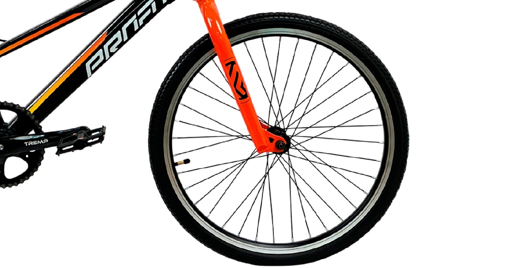 07705084311174 - Imagen 5