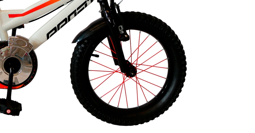 07705084338379 - Imagen 3