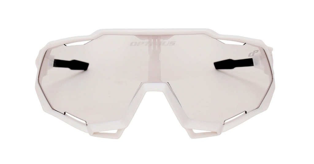 07705084338515 - Imagen 3