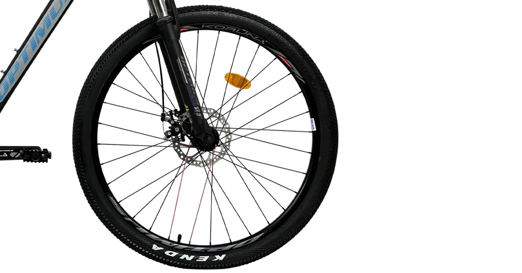 BIAML0820-27S05 - Imagen 5