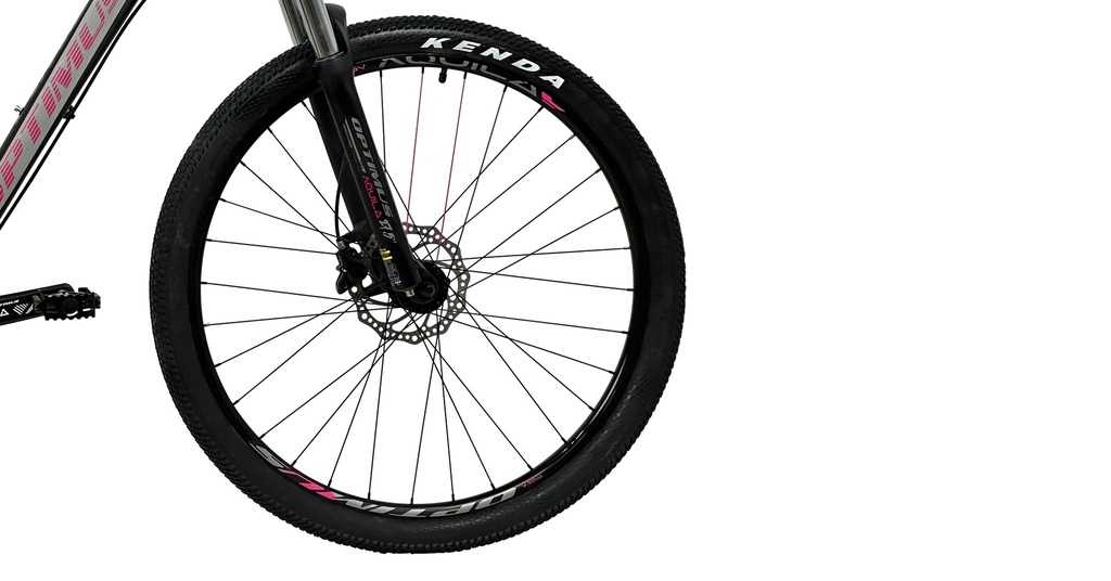 BIAMX0920-27S15 - Imagen 5