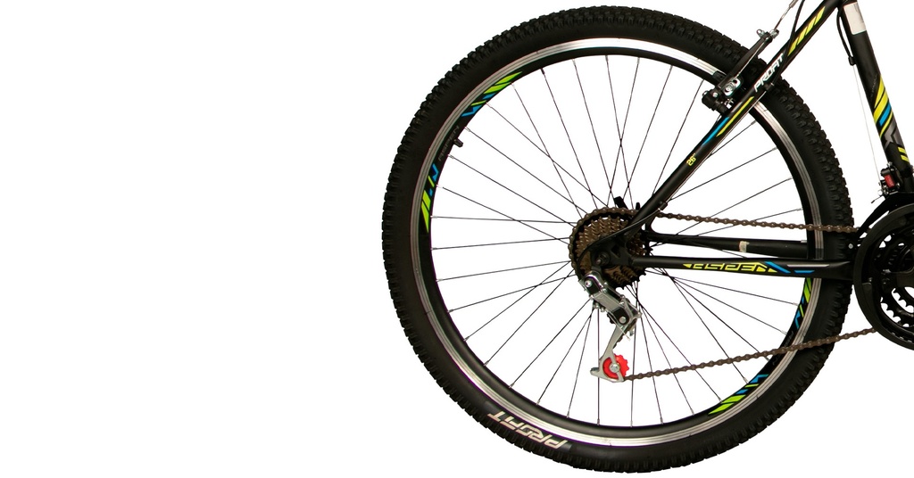 BIASP0821-29M04-IND - Imagen 2