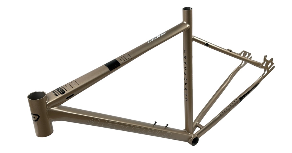 BIAST213-5374-001 - Imagen 2