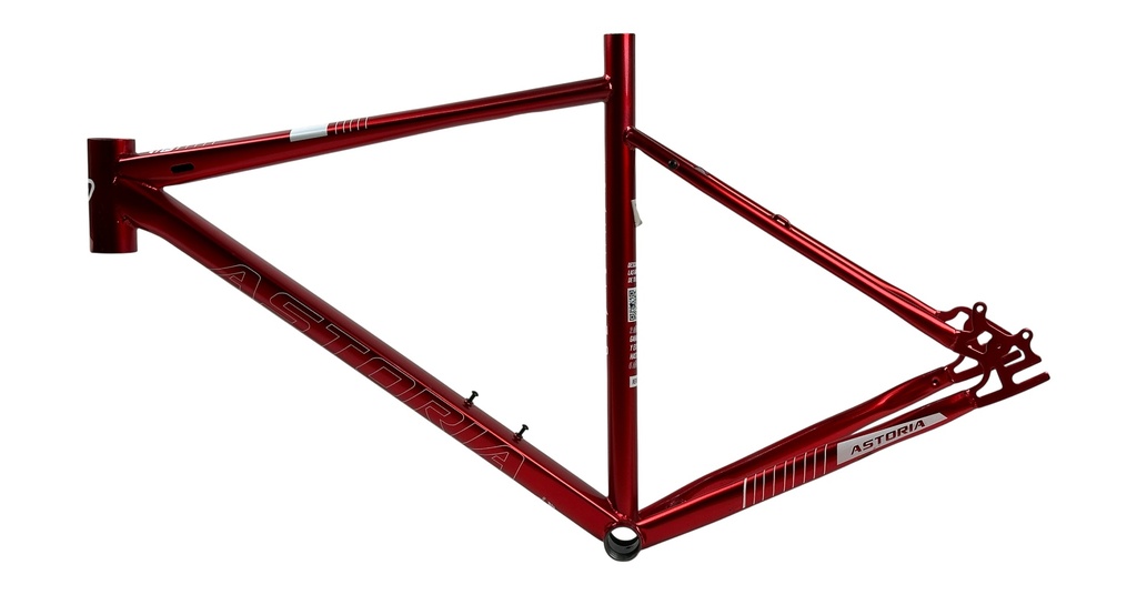 BIAST213-5375-001 - Imagen 2