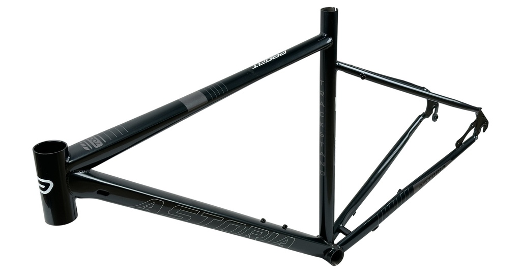 BIAST213-5376-001 - Imagen 2