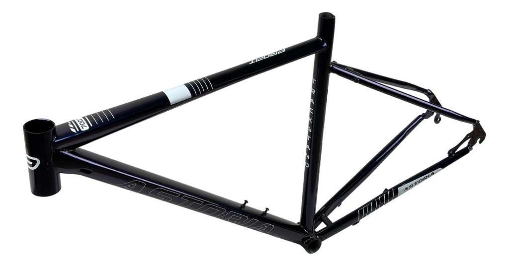 BIAST273-5337-001 - Imagen 2