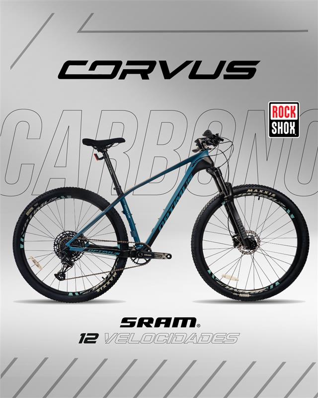 BICRS1222-29M01-IND - Imagen 2