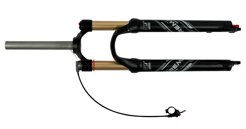 07705084315561 - Imagen 2