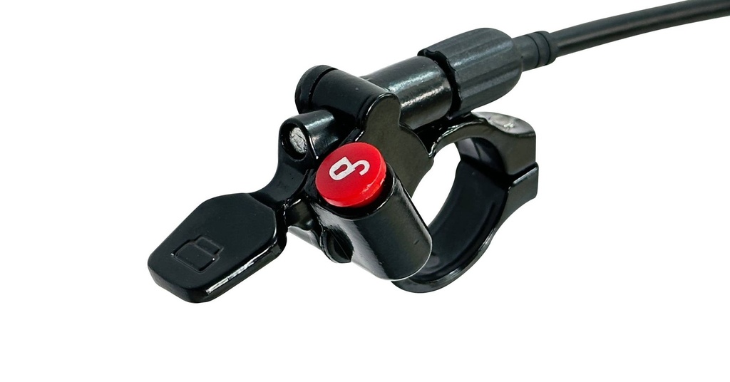 07705084315561 - Imagen 3