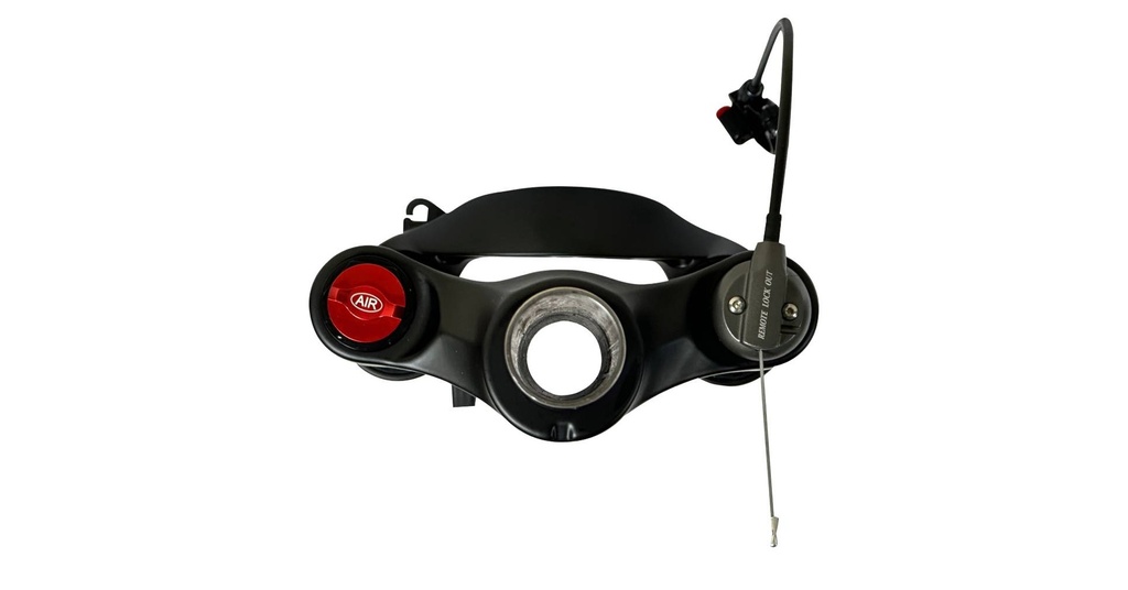 07705084315561 - Imagen 4