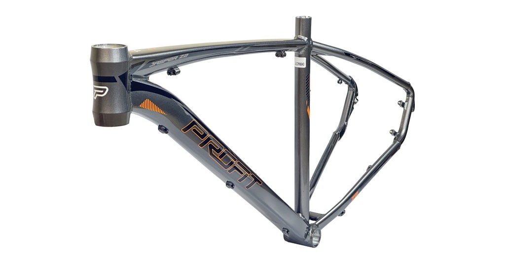 BIJZ20724-29M54-001 - Imagen 2