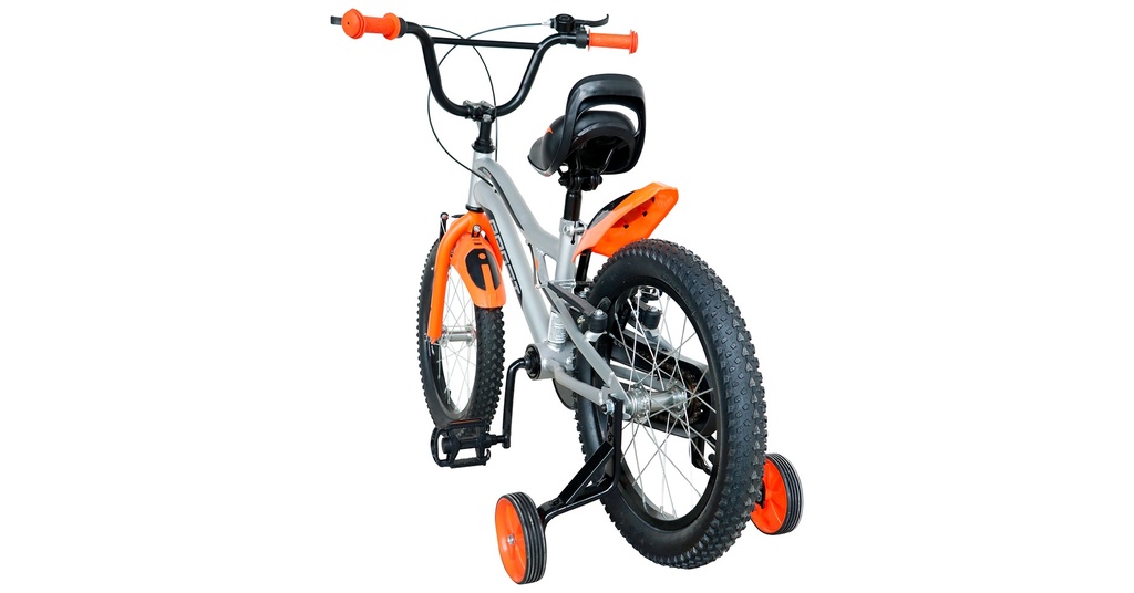 BINIT0123-20054-IND - Imagen 3