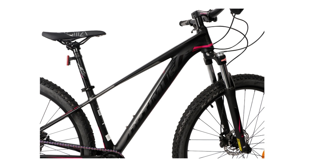 BISGT1021-27S19-IND - Imagen 2