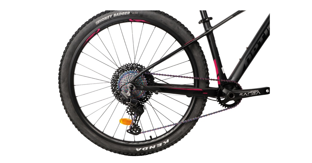 BISGT1021-27S19-IND - Imagen 3