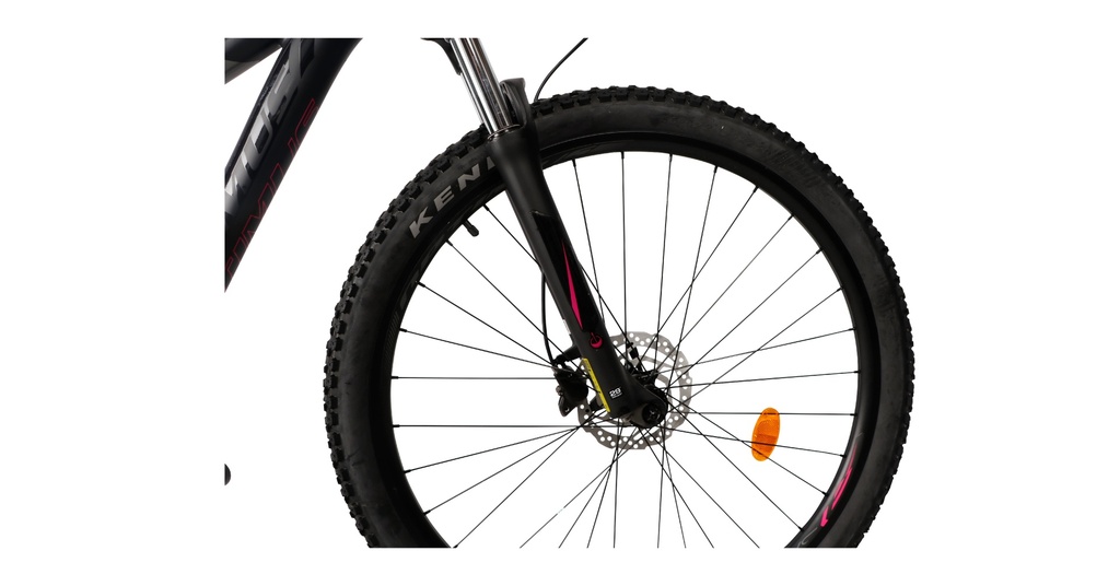 BISGT1021-27S19-IND - Imagen 4