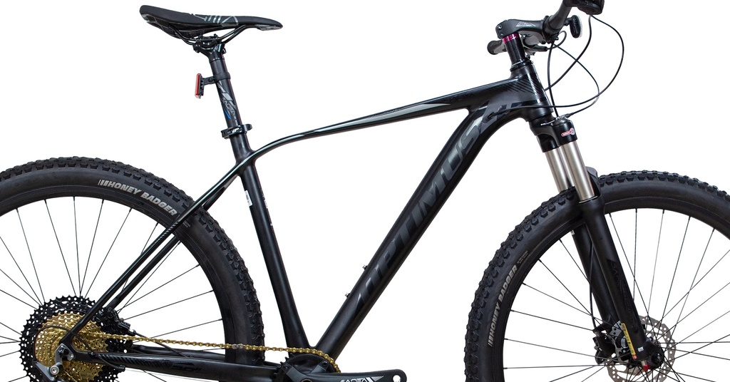 BISGT1021-29M12-IND - Imagen 2