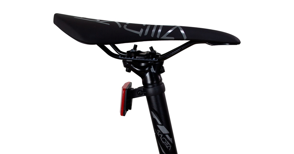 BISGT1021-29M12-IND - Imagen 3