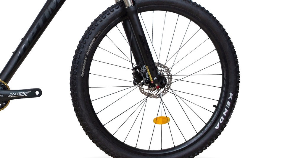 BISGT1021-29M12-IND - Imagen 5