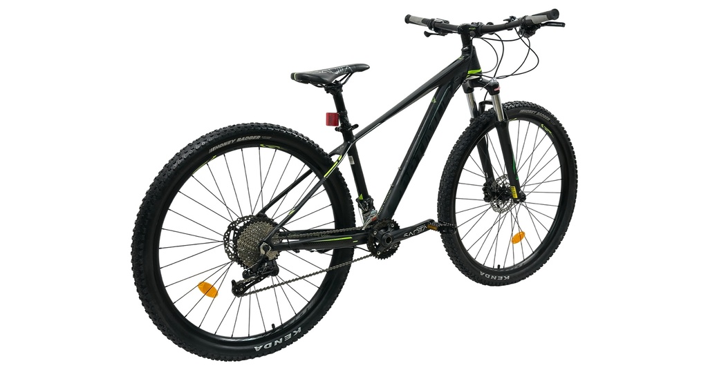 BISGT1021-29S03-IND - Imagen 2