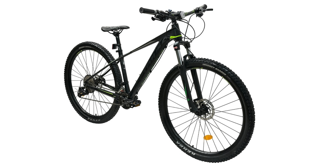 BISGT1021-29S03-IND - Imagen 3