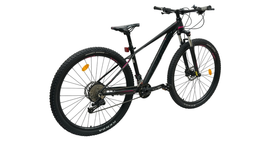 BISGT1021-29S19-IND - Imagen 2