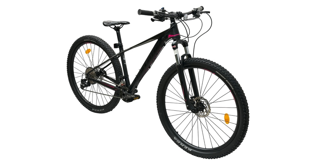 BISGT1021-29S19-IND - Imagen 3