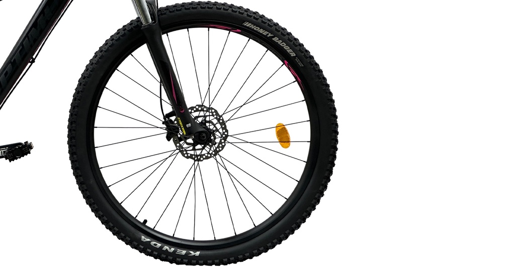 BISGT1021-29S19-IND - Imagen 5