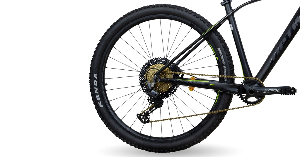 BISGT1221-29S03-IND - Imagen 2