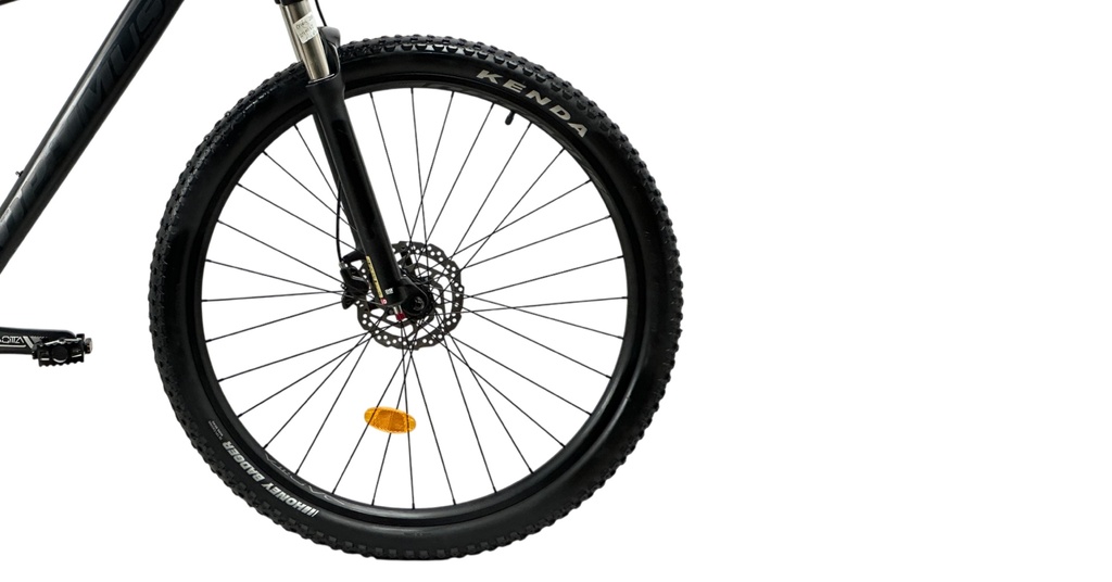 BISSG1222-29M12-IND - Imagen 5