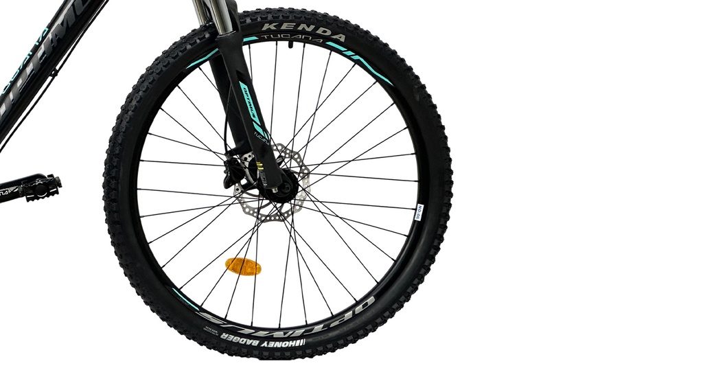 BITCN1021-27S09-IND - Imagen 5