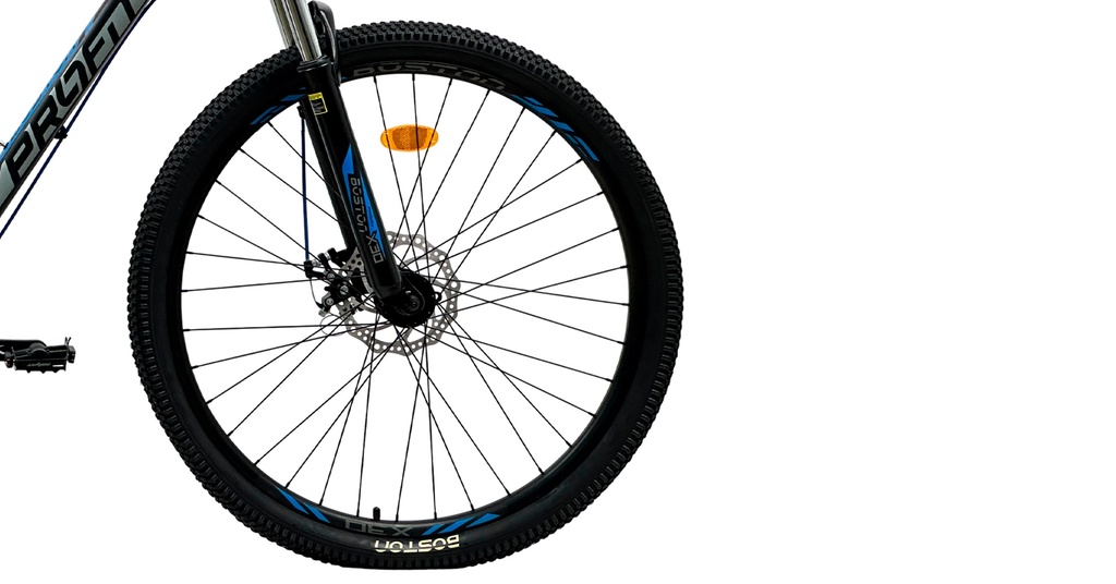 BIX300820-27M04-IND - Imagen 5