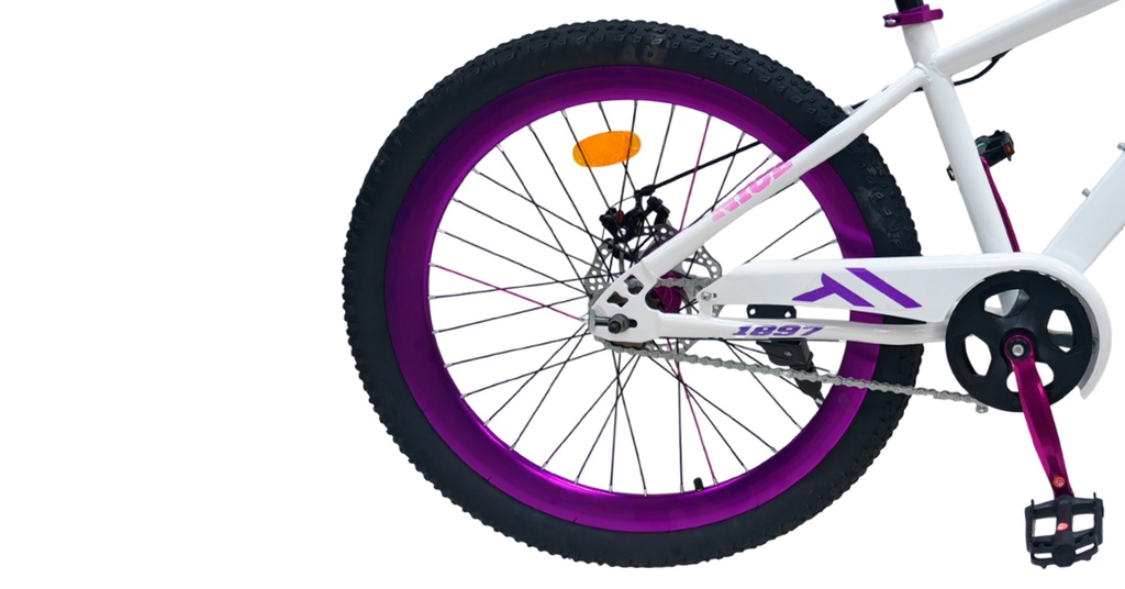 07705084319255 - Imagen 3