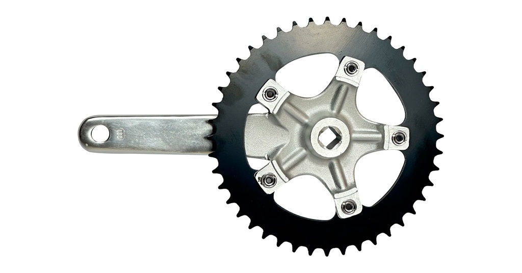 07705084319590 - Imagen 2