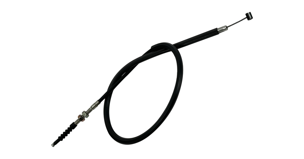 GYAM037CAL - Imagen 5