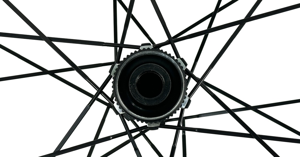 07705084327717 - Imagen 2