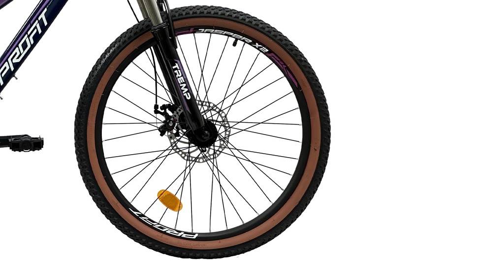 07705084327861 - Imagen 5