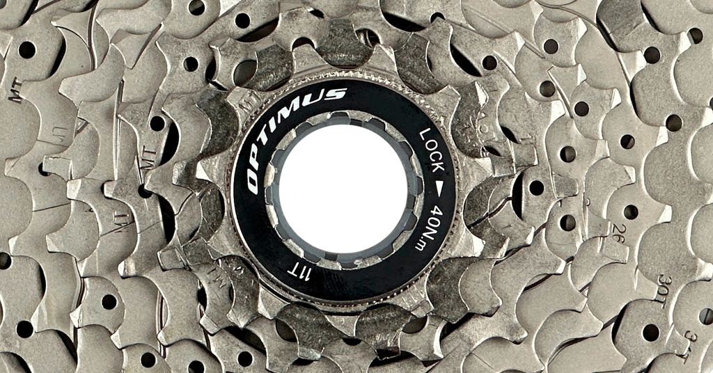 07705084329247 - Imagen 2