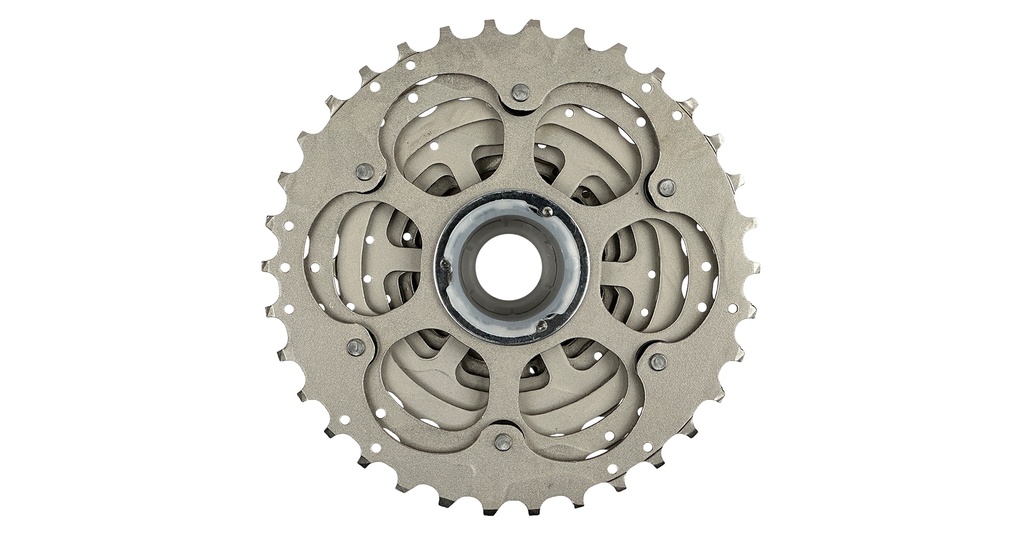 07705084329261 - Imagen 4