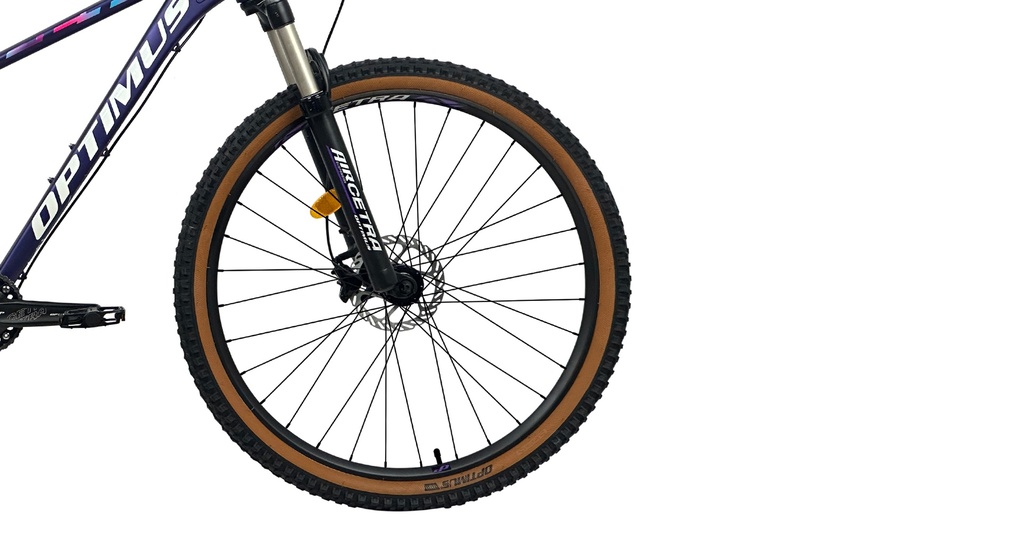 07705084329940 - Imagen 5