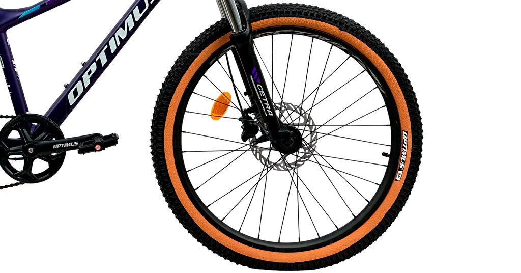 07705084331172 - Imagen 3