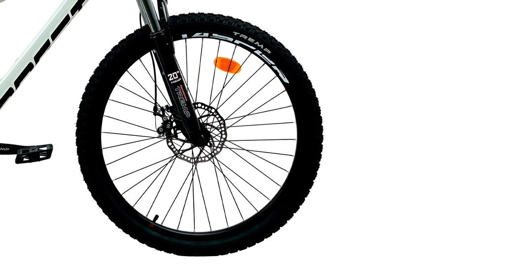 07705084331240 - Imagen 5