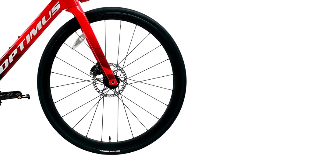 07705084331349 - Imagen 5