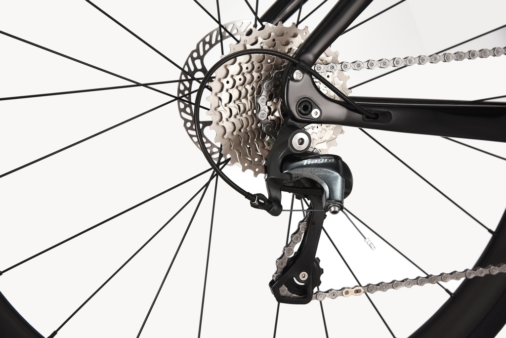 07705084331387 - Imagen 3